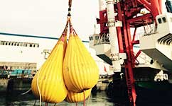 crane load test water bags