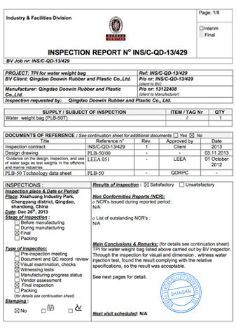 BV Inspection Certificate